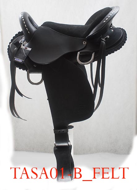 TASA01-B